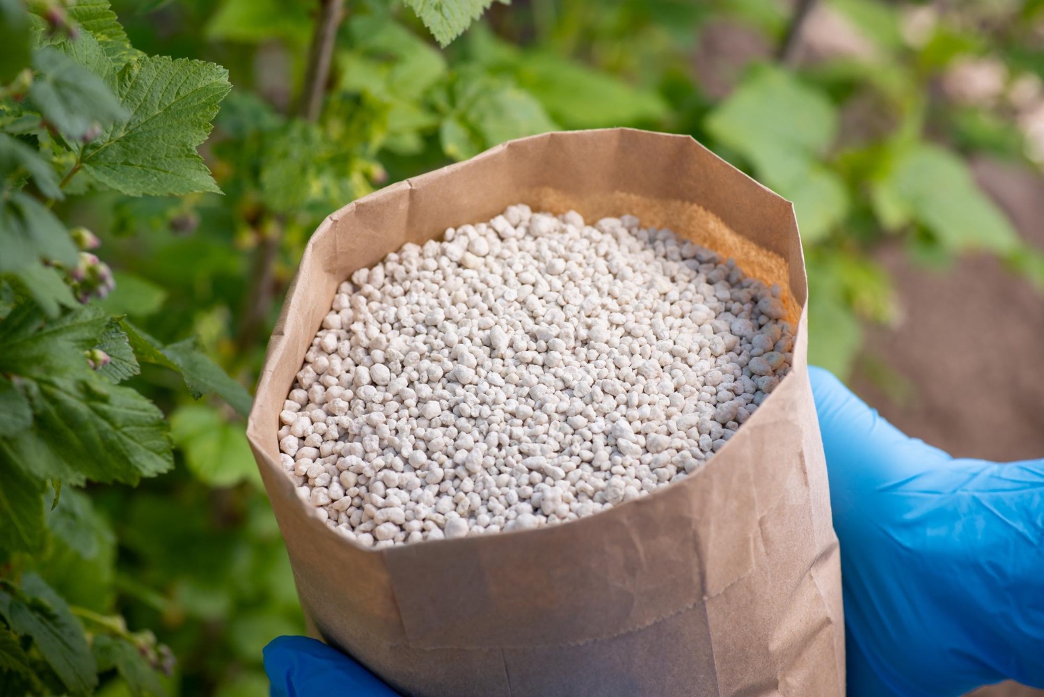 Granular NPK 10-20-20 fertilizer
