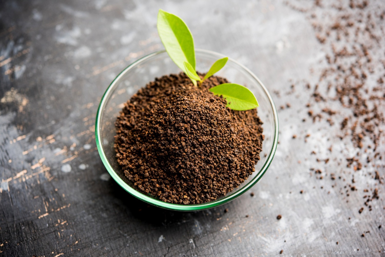 Granular NPK 15-15-15 fertilizer