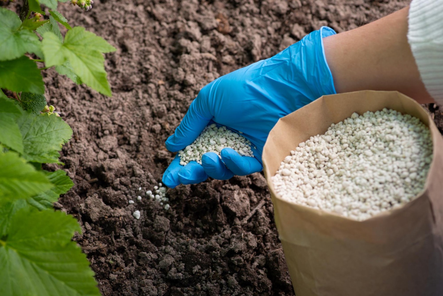 Granular NPK 20-10-10 fertilizer