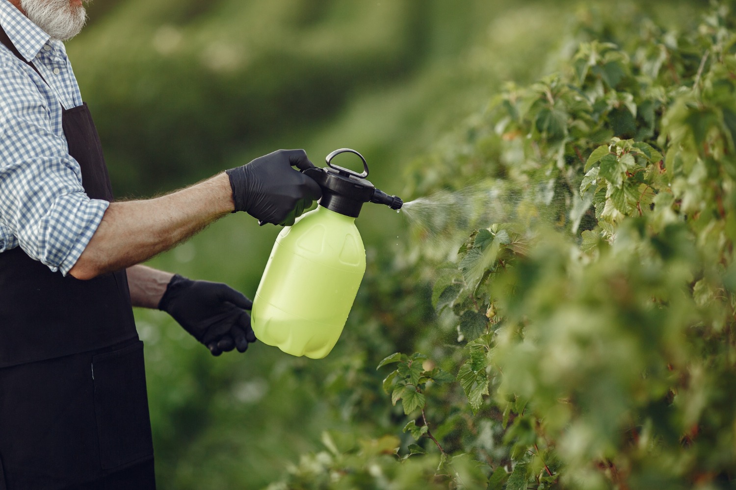 Liquid NPK 10-10-10 fertilizer
