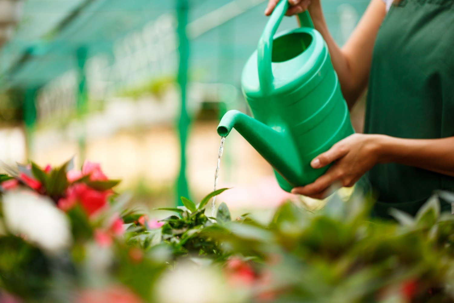 Liquid NPK 6-12-6 fertilizer